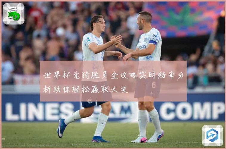 世界杯竞猜胜负全攻略实时赔率分析助你轻松赢取大奖
