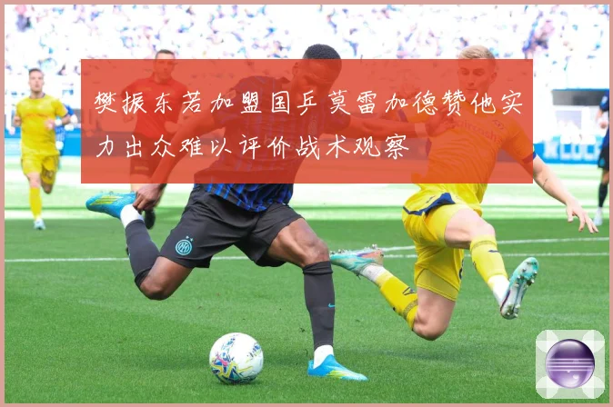 樊振东若加盟国乒莫雷加德赞他实力出众难以评价战术观察
