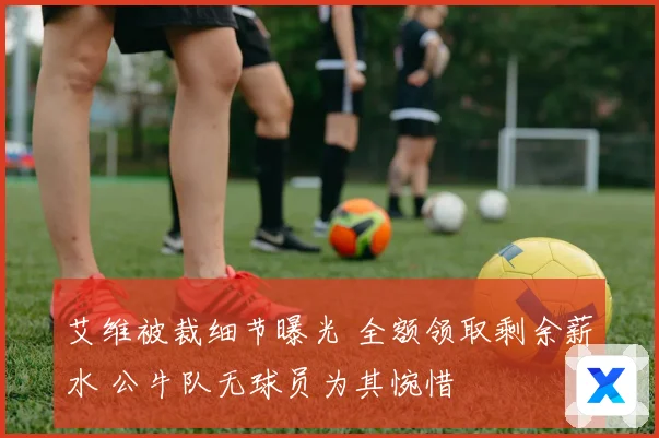 艾维被裁细节曝光 全额领取剩余薪水 公牛队无球员为其惋惜