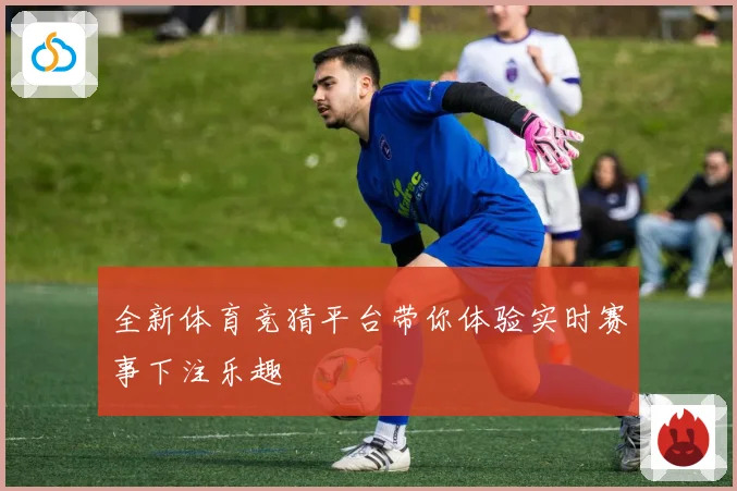 全新体育竞猜平台带你体验实时赛事下注乐趣