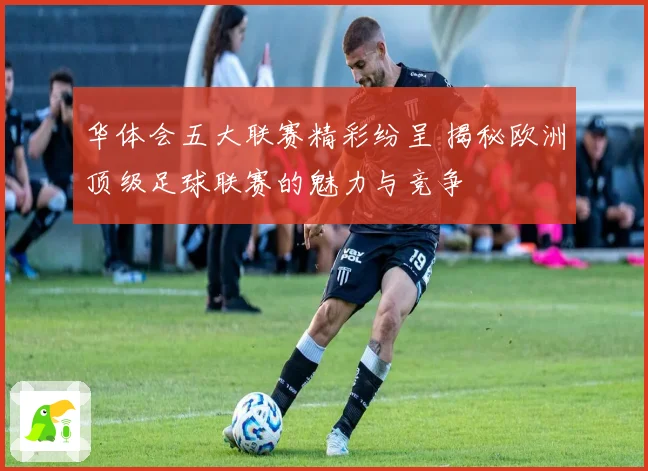 华体会五大联赛精彩纷呈 揭秘欧洲顶级足球联赛的魅力与竞争
