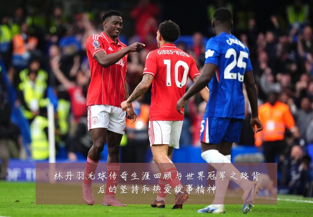 林丹羽毛球传奇生涯回顾与世界冠军之路背后的坚持和热爱故事精神